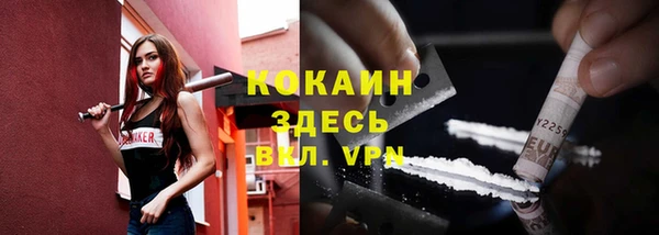индика Абдулино