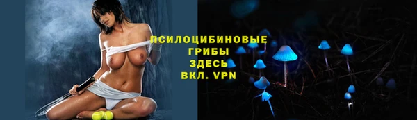 индика Абдулино