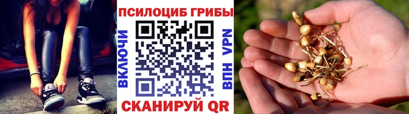 Псилоцибиновые грибы MAGIC MUSHROOMS Иваново