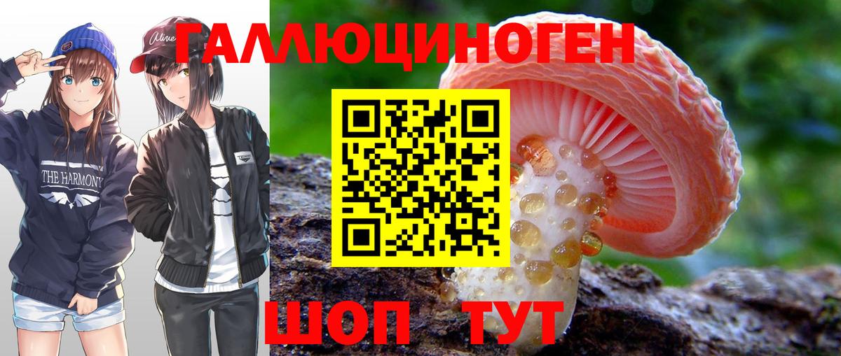 Псилоцибиновые грибы ЛСД Иваново